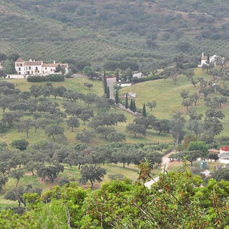 Villa La Rejaquera Villanueva del Rio y Minas Esterno foto