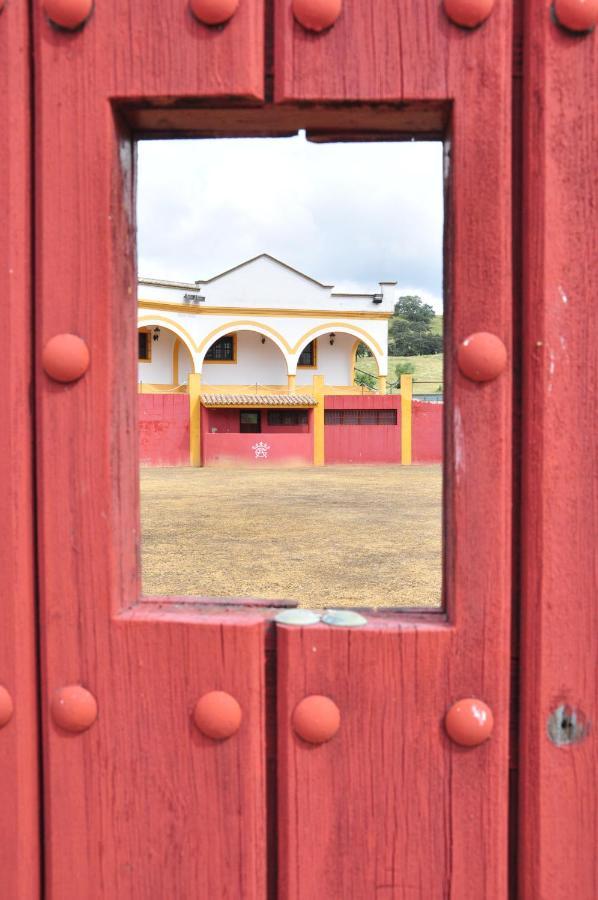 Villa La Rejaquera Villanueva del Rio y Minas Esterno foto
