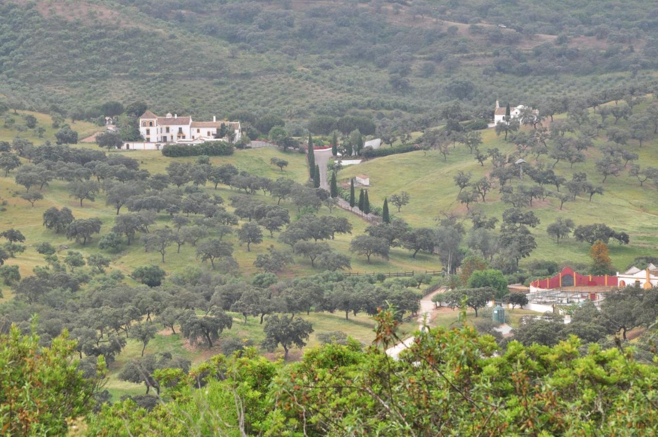 Villa La Rejaquera Villanueva del Rio y Minas Esterno foto